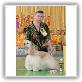 JCH RUS, RUS CH, 3 x Candidate to CH Club Antaleks To Be A Star